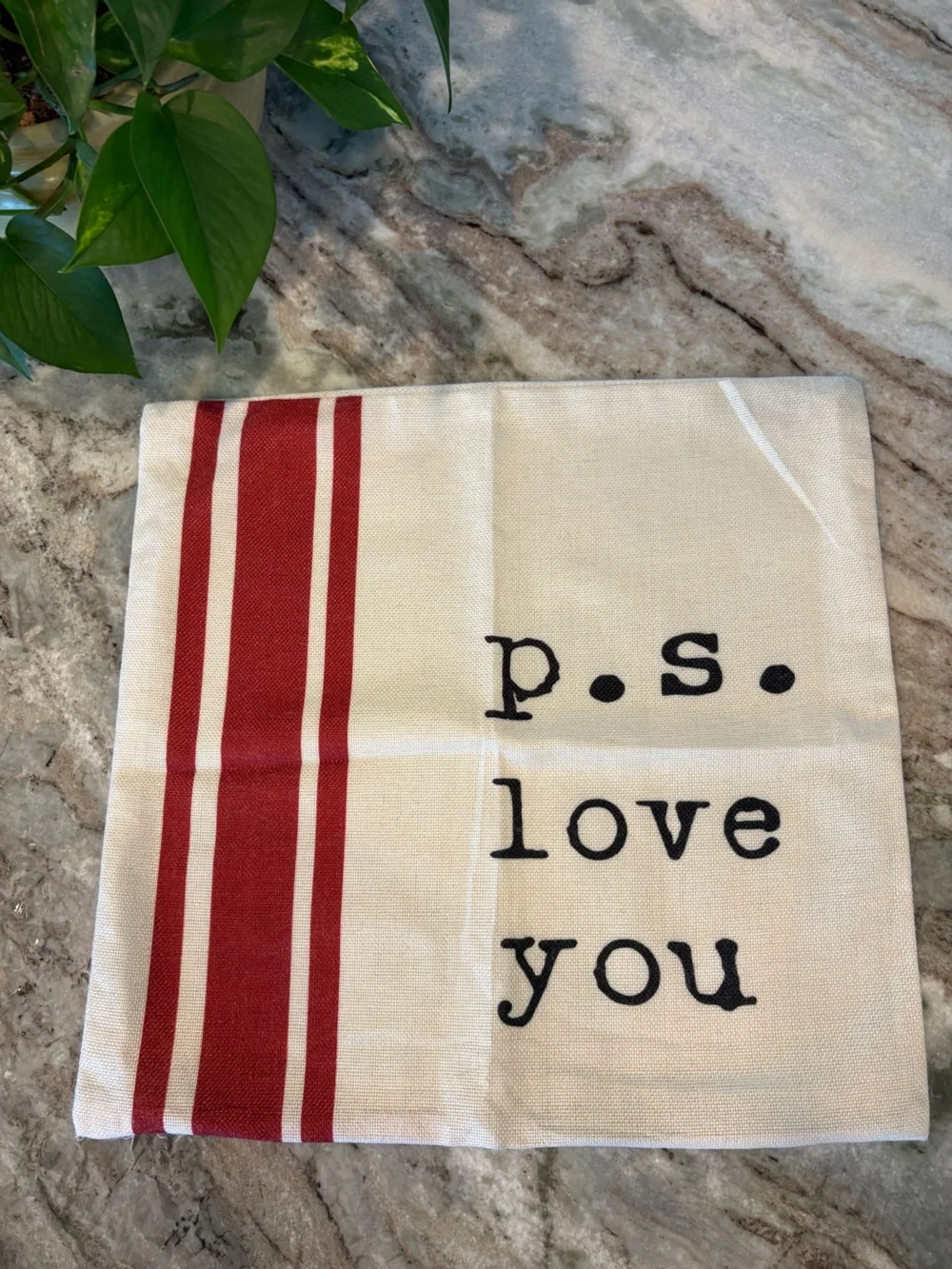 Two 18x18 Valentine’s Day Pillow Covers